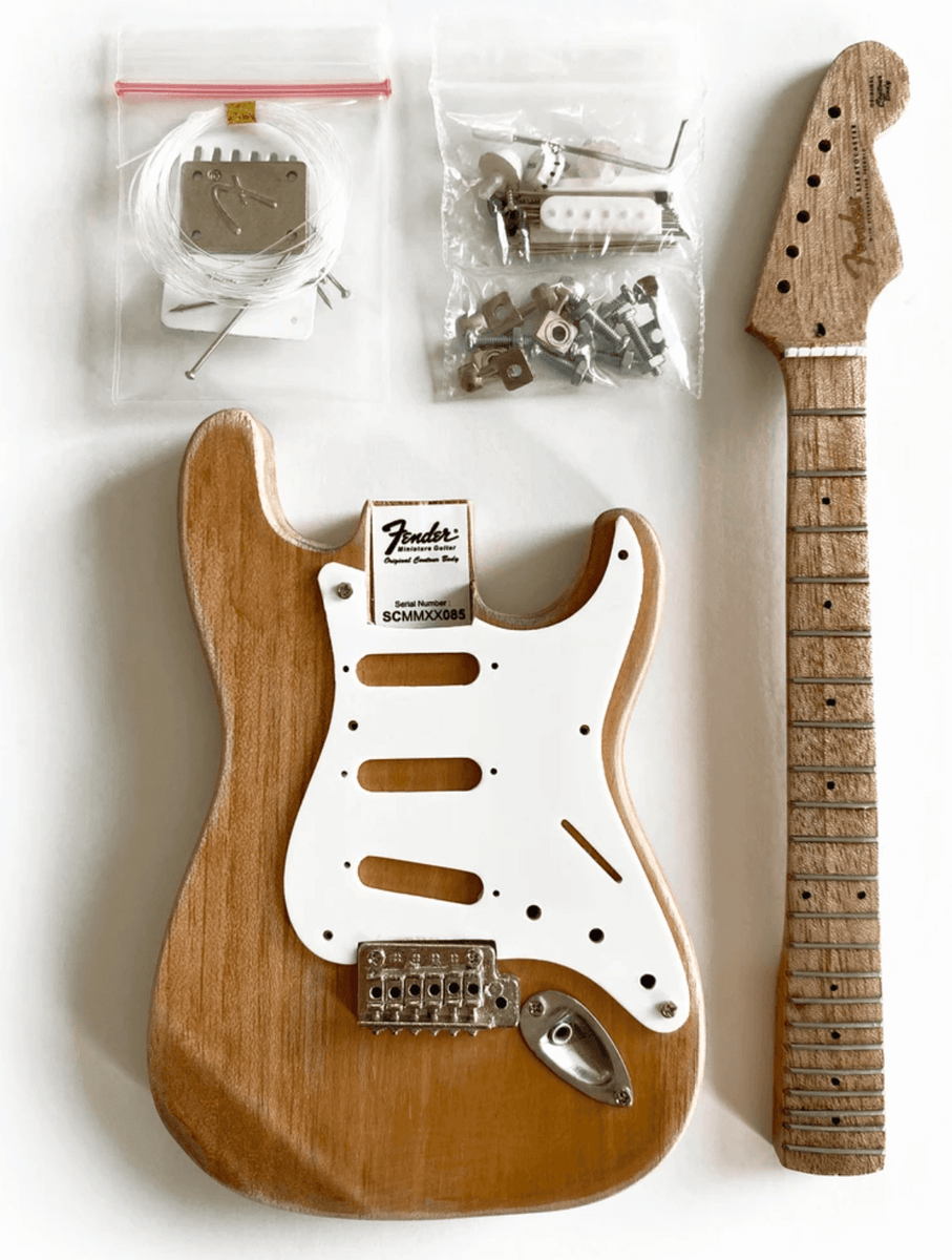 Fender diy online kit